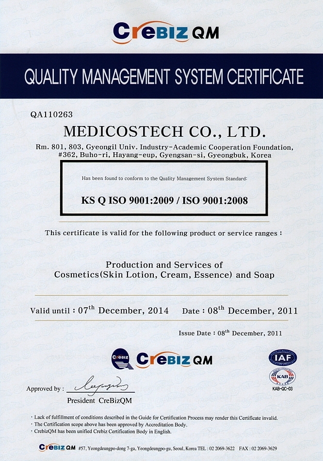 ISO 9001